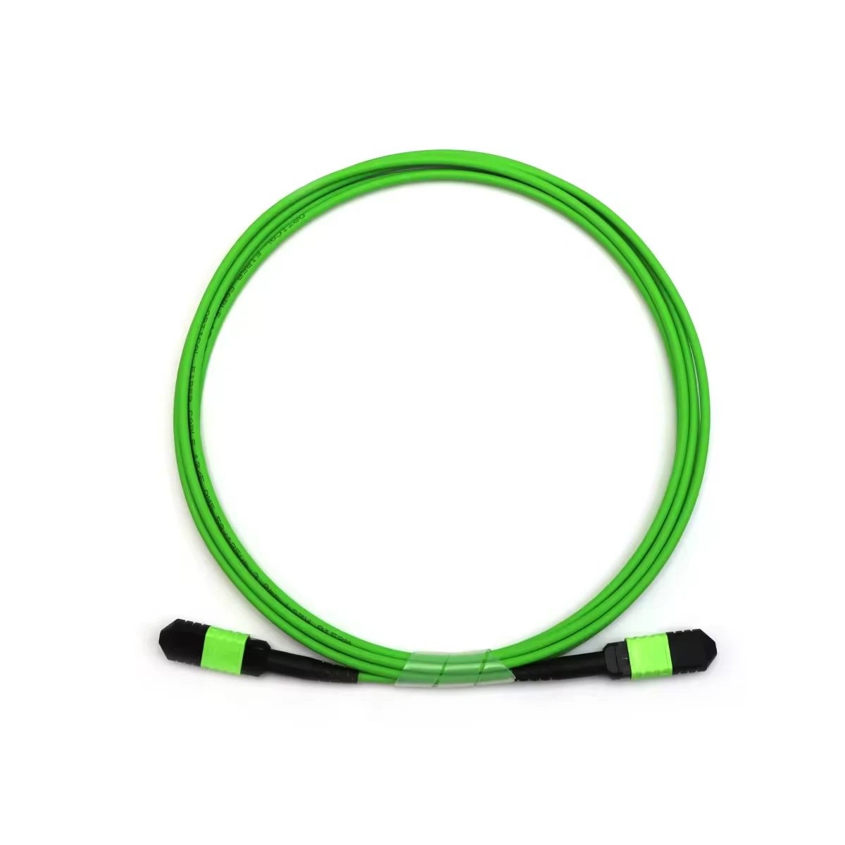 Ribbon fiber optic patch cord 12 fiber MTP/MPO connectors